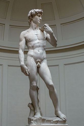 Michelangelo completes the sculpture of David after three years of work